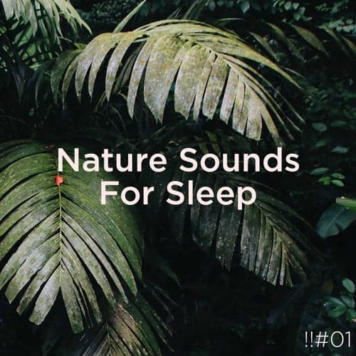 !!#01 Nature Sounds For Sleep