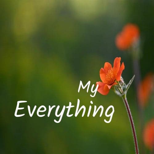 My Everything