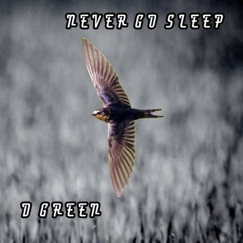 Never Go Sleep