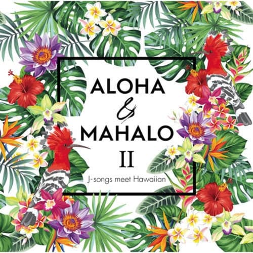 Aloha & Mahalo Two