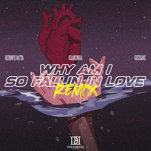 Why Am I So Fallin in Love (Remix)