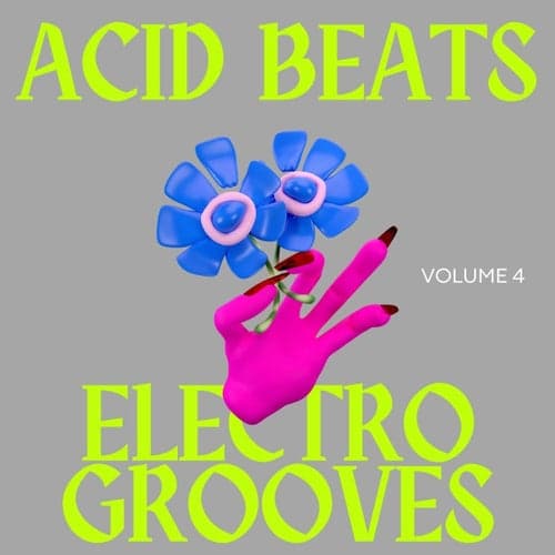Acid Beats Electro Grooves, Vol.4