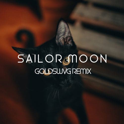 Sailor Moon (GOLDSWVG Remix)