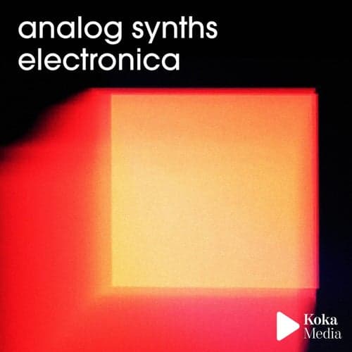 Analog Synths Electronica