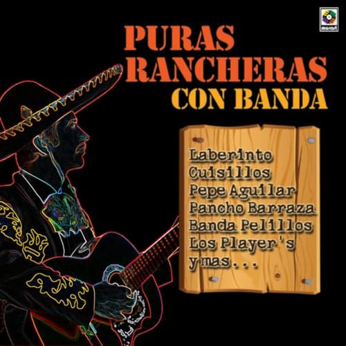 Puras Rancheras Con Banda