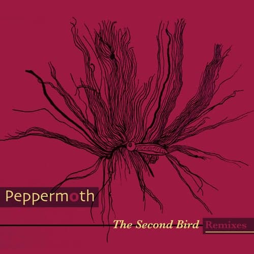 The Second Bird (Remixes)