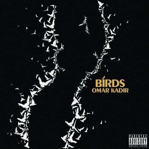Birds - Single