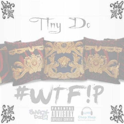 #WTF!P (What the Fuck Is a Pillow) - Single