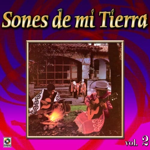 Colección De Oro: Sones De Mi Tierra, Vol. 2