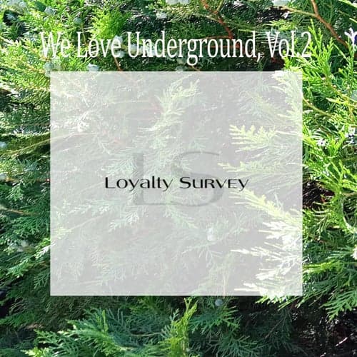 We Love Underground, Vol.2