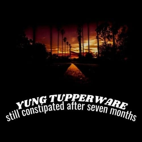 Still Constipated After Seven Months (English Version)