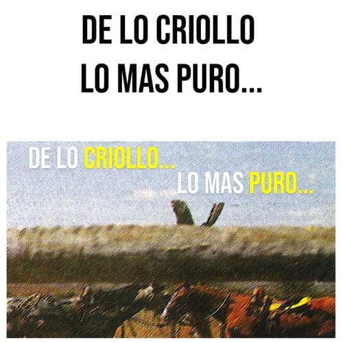 De Lo Criollo A Lo Mas Puro