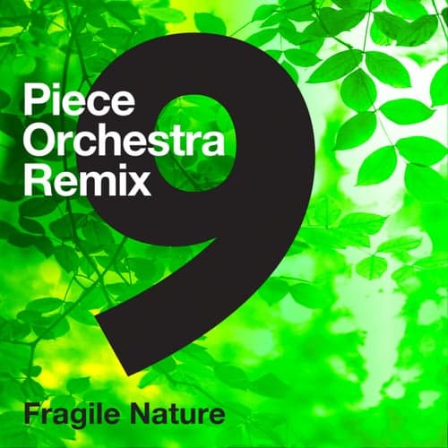 9-Piece Orchestra Remix - Fragile Nature