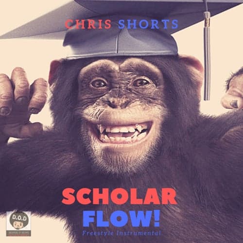 Scholar Flow (Freestyle Instrumental)