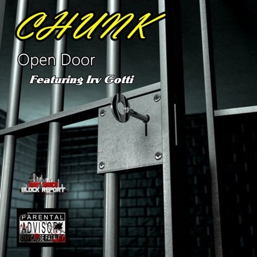 Open Door (feat. Irv Gotti) - Single