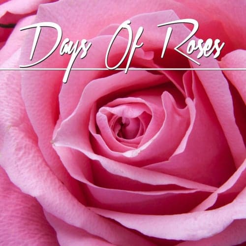 Days of roses