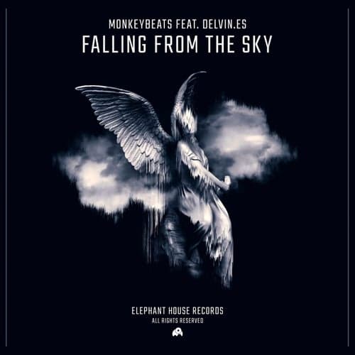 Falling from the Sky (feat. Delvin.es)