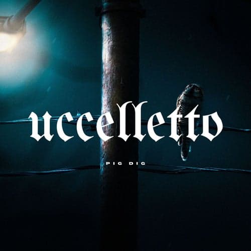 Uccelletto