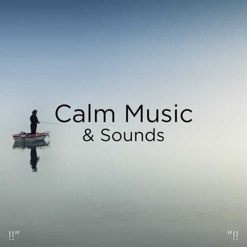 !!" Calm Music & Sounds "!!