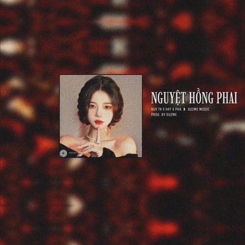 Nguyệt Hồng Phai (1967 Remix)