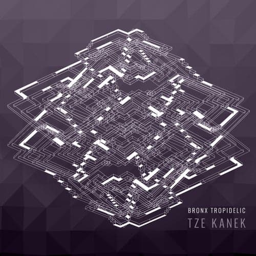 Tze Kanek - Bronx Tropidelic