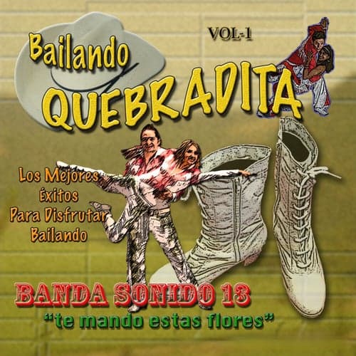Bailando Quebradita, Vol. 1