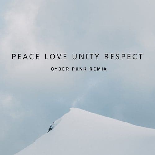 Peace Love Unity Respect (Cyber Punk Remix)