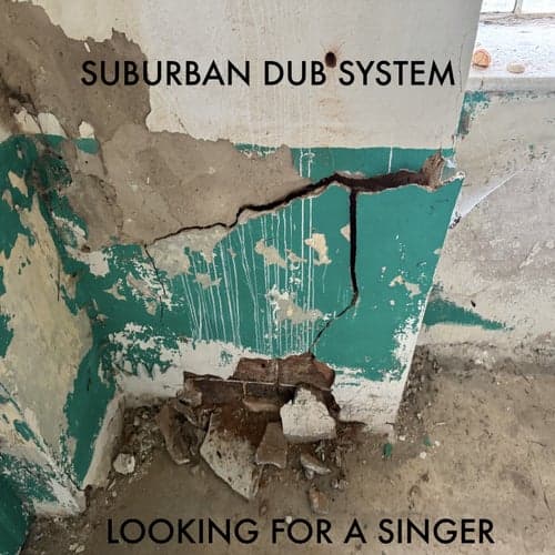Looking for a Singer