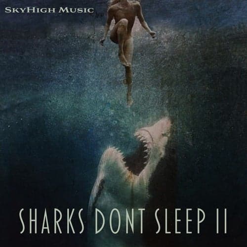 Sharks Dont Sleep 2