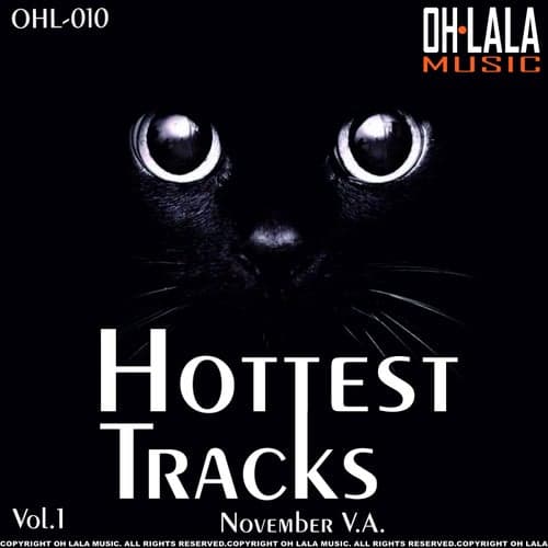 Hottest Tracks November, Vol. 1