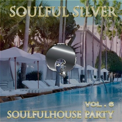 Soulfulhouse Party, Vol. 6
