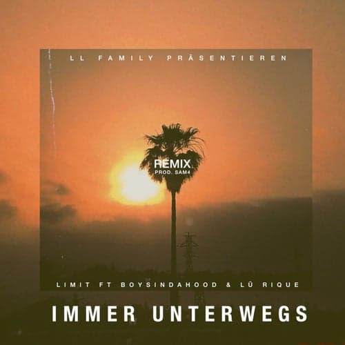 Immer unterwegs (feat. Boysindahood ,Lu Rique) [Remix]