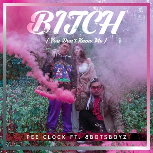 Bitch (You Don't Know Me) (feat. 8BOTSBOYZ)