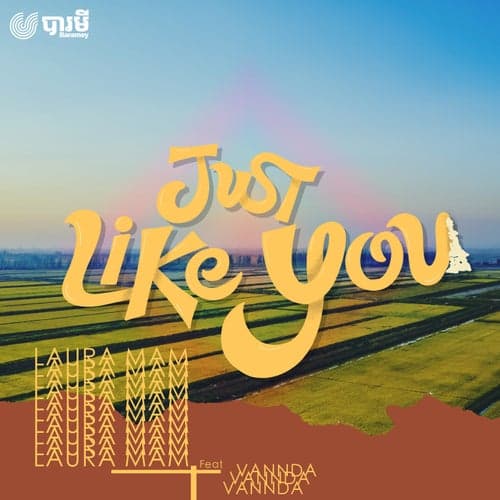 Just Like You (feat. VannDa)