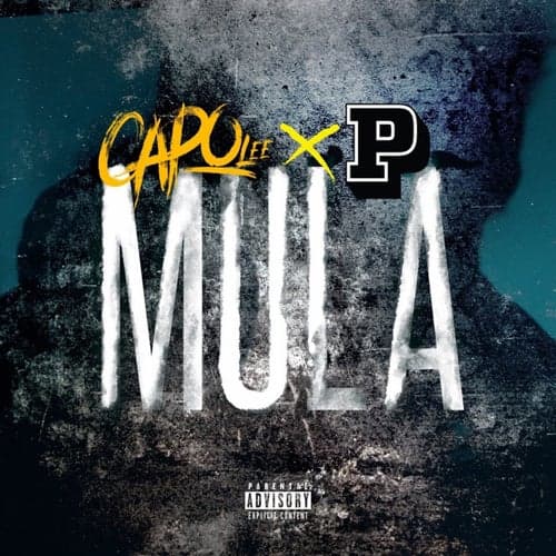 Mula (feat. P Money)