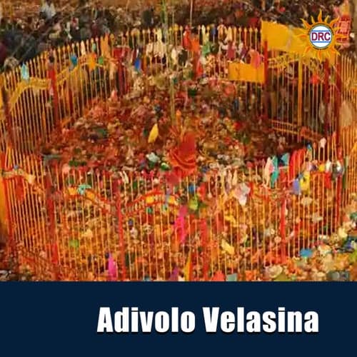 Adivolo Velasina