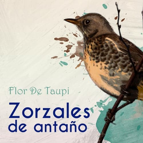 Zorzales de Antaño… Flor De Taupi
