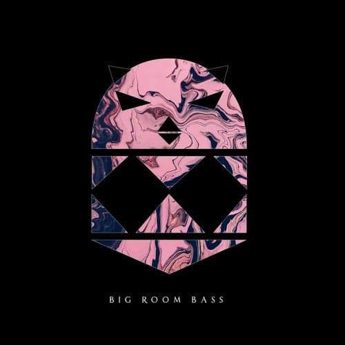Big room bass (Slow edit)