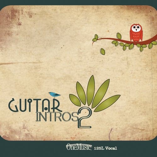 Guitar Intros 2