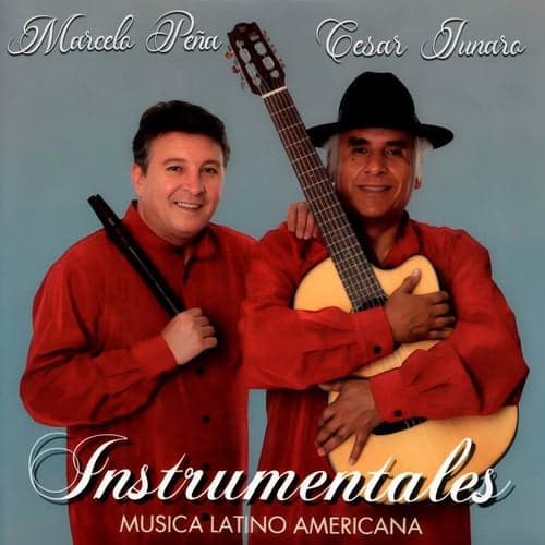 Instrumentales Musica Latino Americana