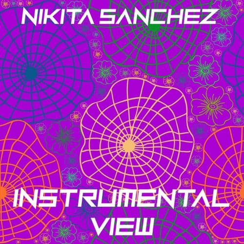 Instrumental View
