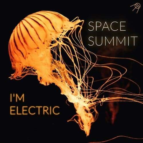 I'm Electric