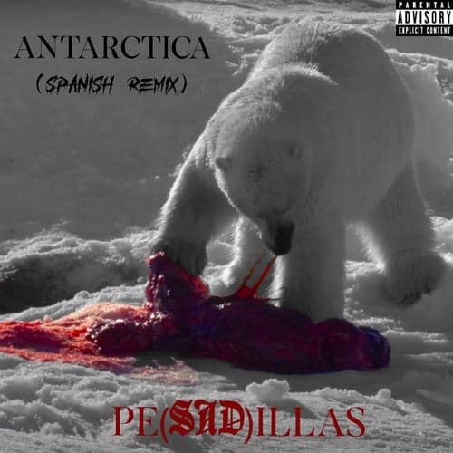 Antarctica (Spanish remix)