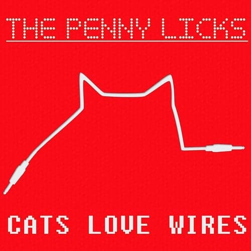 Cats Love Wires