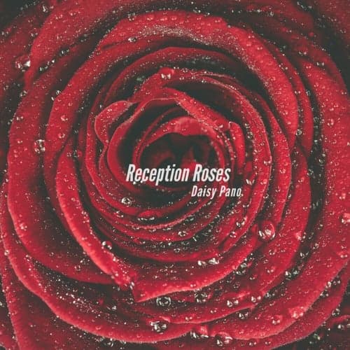 Reception Roses