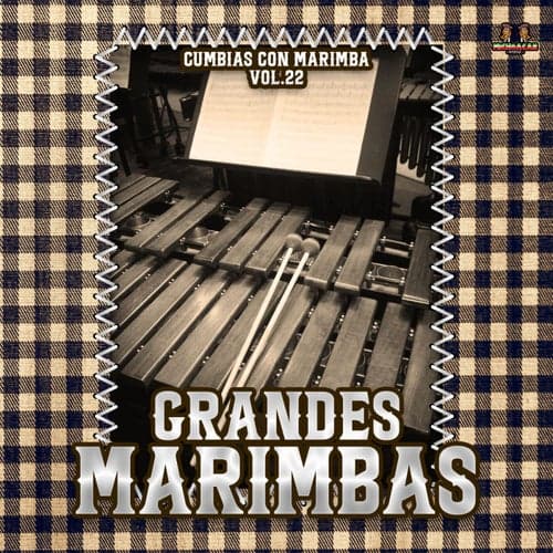 Cumbias Con Marimba Vol. 22