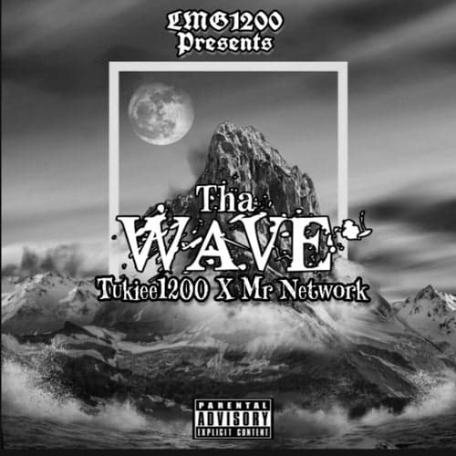 Wave (feat. Mr. Network)
