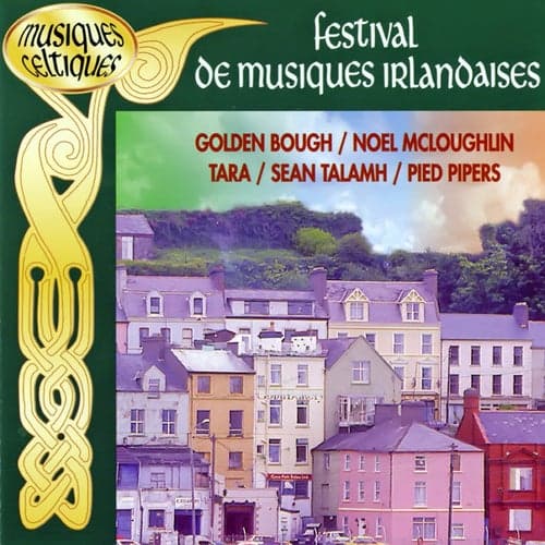 Festival De Musiques Irlandaises Vol. 1 (Musiques Celtiques)