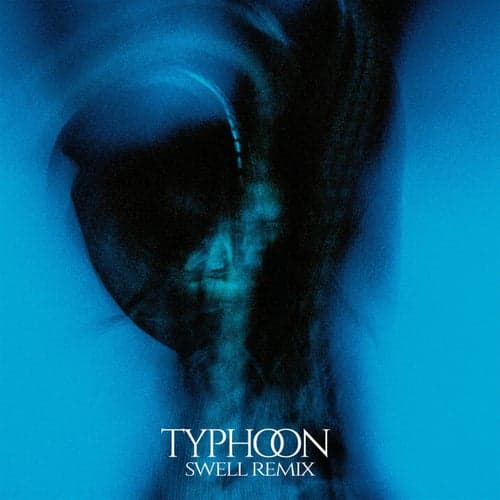 Typhoon (Swell Remixes)