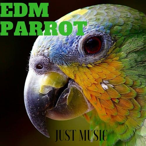 Edm Parrot Just Music